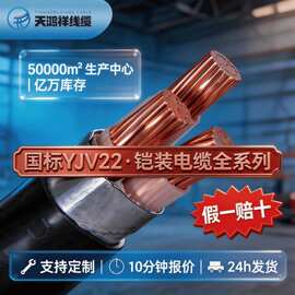 国标ZC-YJV22铠装电缆0.6/1KV3+1/3+2/4+1芯70-240平方铜芯地埋