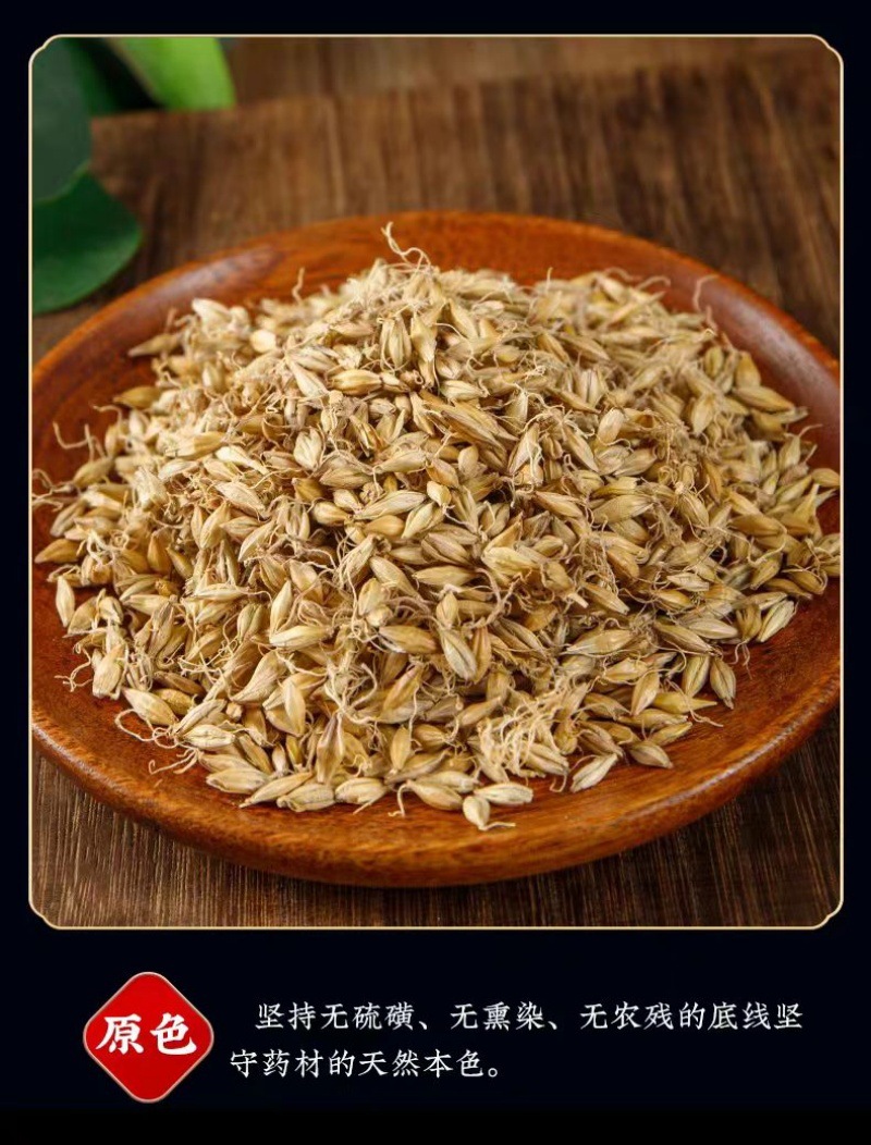 Malt (Hordeum vulgare) — Dried Food-Herb Barley Sprout, 500g specifications