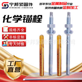 厂家直销304不锈钢化学锚栓螺栓倒锥锚栓定型化学锚栓高强度锚栓