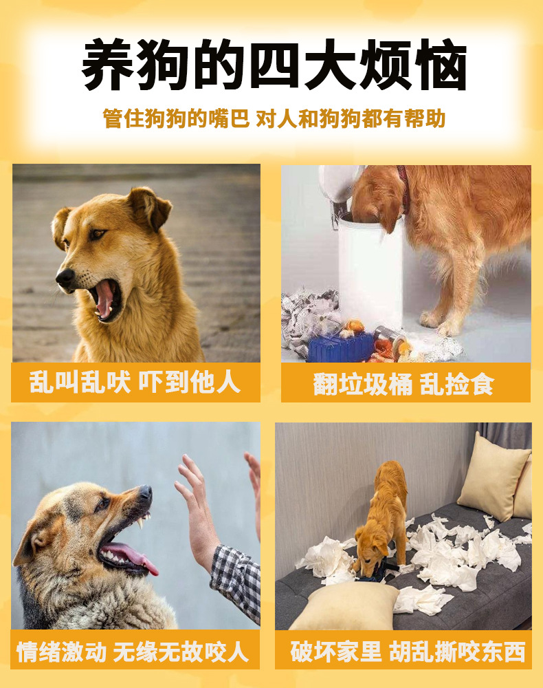 详情2.jpg