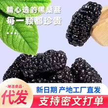 桑葚干无沙水洗大果批发500g 代发  泡水泡茶零食