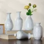 办公家居水培陶瓷花插