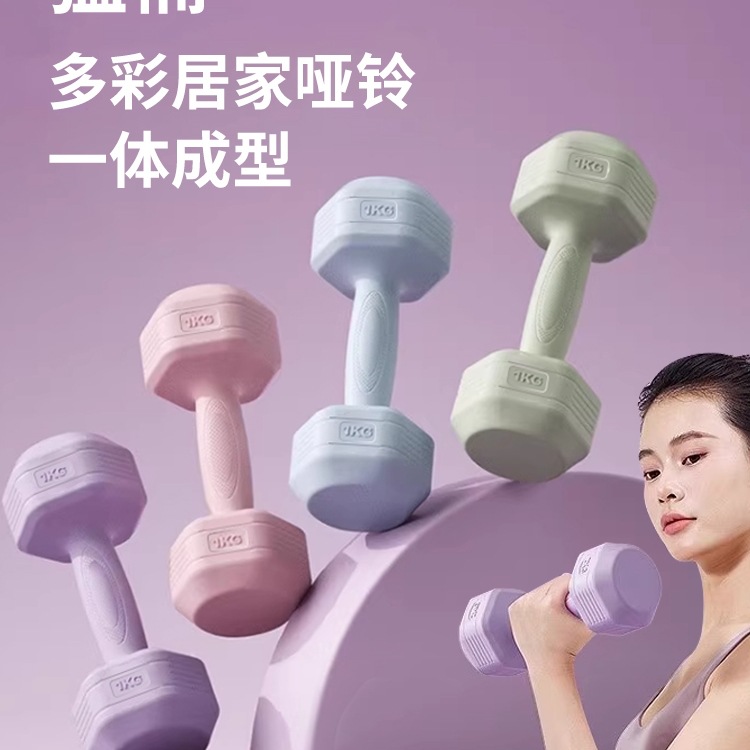 Dumbbell lady fitness home 1/3/2 pair of barbell youth equipment kg strength training small dumbbell