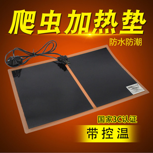 �������ؿ��{���ӟ�|�����،m֩��ľ�з���ܘ����~�׼Ӝر��؉|