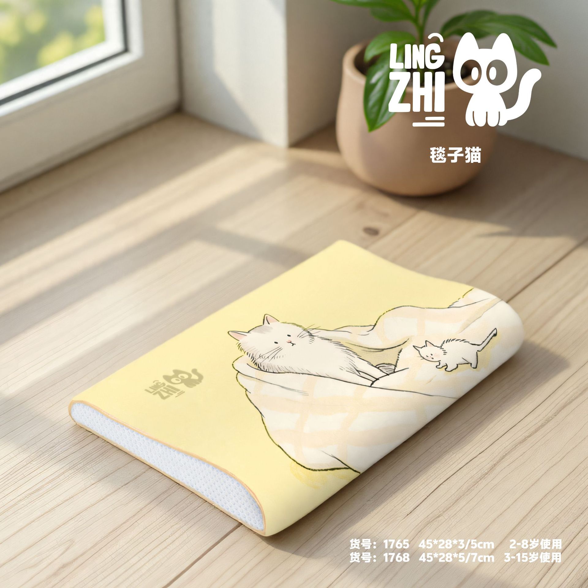 1765 담요 고양이 [2-10세]