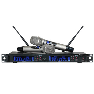 Professional wireless microphone karaoke one drag two KTV home stage outdoor singing anti-howling collar clip head microphone