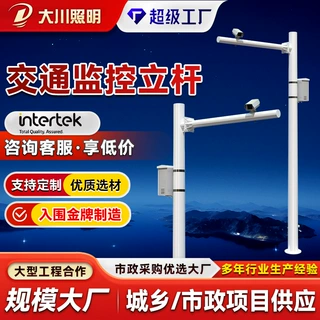 加工定制监控立杆单臂八角监控立柱小区户外防水道路交通监控立杆