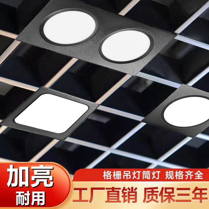 Square Recessed Downlight with Dual Heads, Led Grid Spotlight, Single-Head Downlight, Grid Ceiling Special 10*20