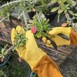 焊工手套;通用手套;其他手部防护