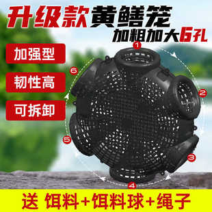 ���������~�\�S�X�\���q�\�~�r�\���~�\���ײ��X������횻\�S�X�\