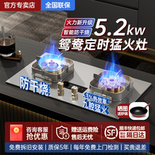樱花雪防干烧燃气灶家用双灶天然气猛火灶台式嵌入式液化气煤气灶