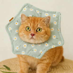 ���R�d؈�乷���Ȧ����ɯ��Ȧܛ�^���g����򲻵��`�Mʳ������Ʒ