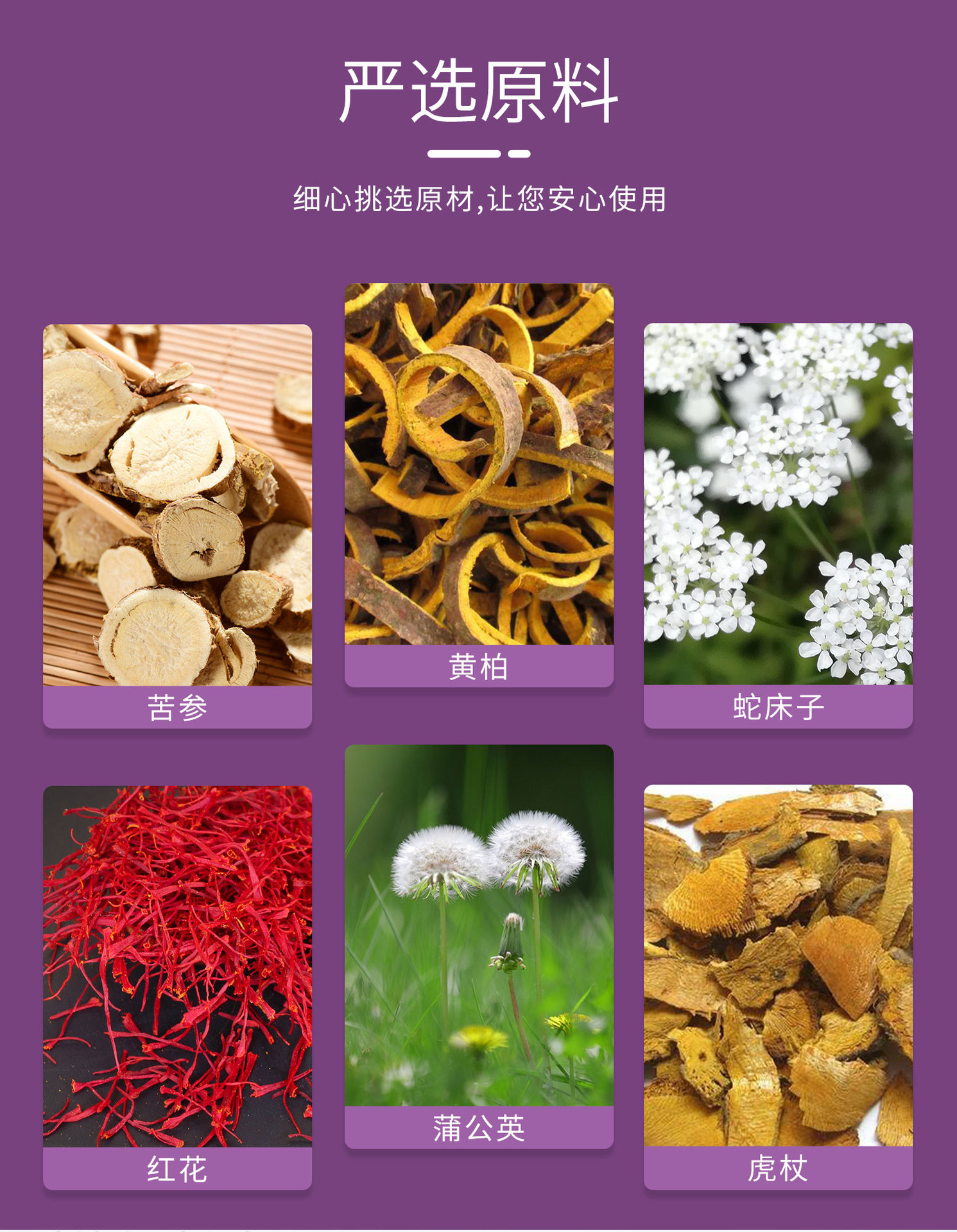 苦参凝胶盒装_05