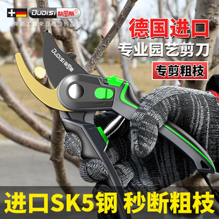 gardening shears pruning shears flower shears garden shears flower shears branches fruit tree scissors branch shears pruning flower shears