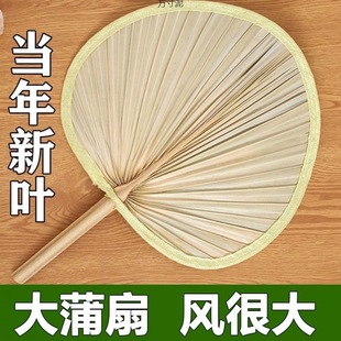 Old-fashioned cattail leaf fan summer fan weaving cool hand fan portable household rice dumpling leaf banana leaf factory a wholesale