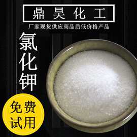 山东现货食品级氯化钾 高含量食品用白晶钾 50kg包装氯化钾颗粒