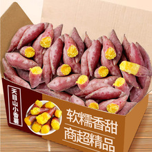 ��ĿɽС����5���R���a��ֱ�N����С�t�����rʳ�õع���ָ������