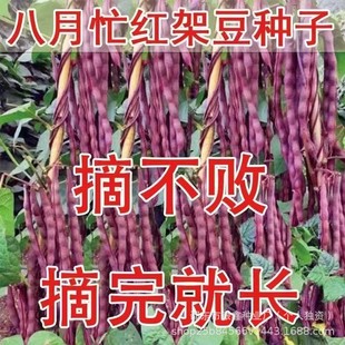 ����æ���������ǷN�Ӽt�ܶ��o��ܿܿ��ԭ�b�ļ���ȫ�ļ����N��