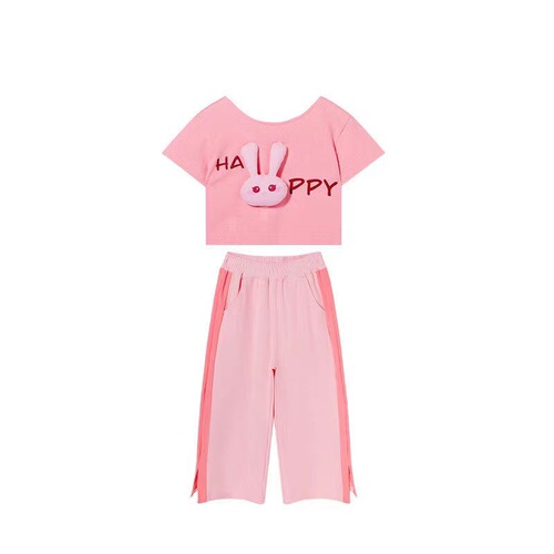 Girls Summer Suit Set  New Children's Wear Internet Celebrity Fashionable Children's Fashionable Wide Leg Pants Summer Two-Piece Set