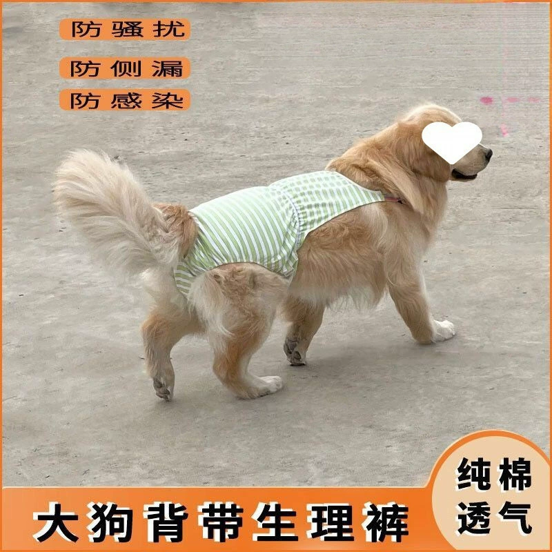 Физиологические штаны для больших собак, шлейка для золотистых ретриверов и лабрадоров, штаны для сук в период оestrus, гигиенические штаны против нарушения.