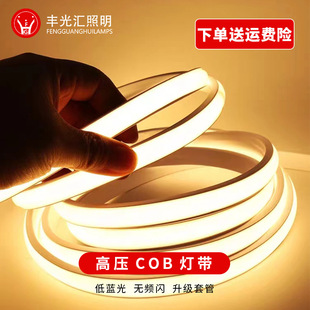 ������������COB�􎧷�ˮ220V�͏d��픙�����ճ���԰���LED�􎧗l