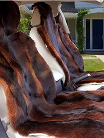 震动棒;情趣跳蛋;飞机杯