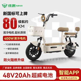 其他电动车;电动摩托车