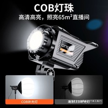 新款网红直播补光灯落地式专业级led拍照服装球形打光灯光拍摄灯