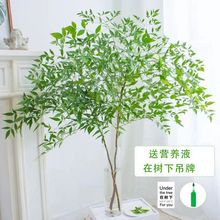 ˮ҃ȺBֲRRľƽGֲܛbGr֦