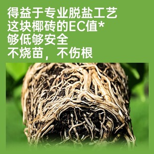 Ҭ�u�I�B���B��ͨ����Ҭ����Ҭ����Ҭ���N���û����Nֲ�I�BҺҮ�u