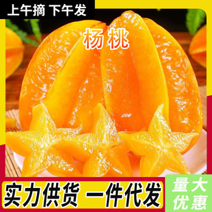 �������ݗ������rˮ���������x�����r�������������������l���]