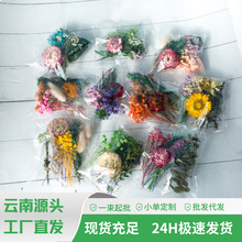 �ɻ����ϰ�diy�M�����߲ʾտ羳���R�dtemu��Ϲ��Sֱ�l�ֹ�