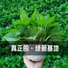 G}҃ȩLٴ~180̖Gj·ˮ໨ܾGֲ