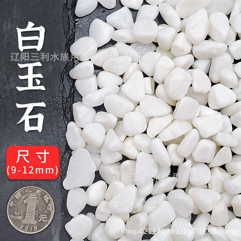 0.5kg 백옥 (9-12mm)