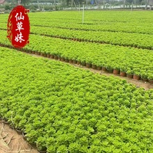 �����컨�� ���߾��� �@�־G������ͥԺ�����ͺ��ͺ��޸�����