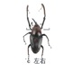 other product image