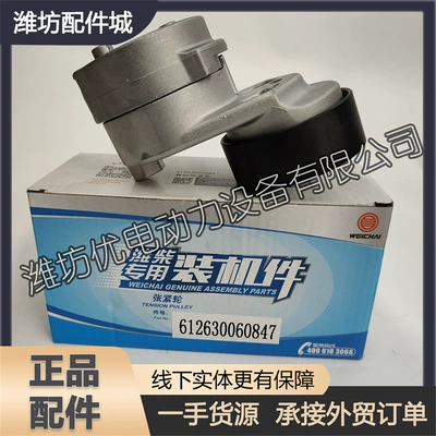 accessories tensioner 612630060847 – Remen gəricisi