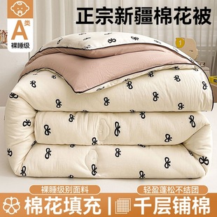Xinjiang Cotton Quilt Winter Quilt Thickeneded Warm Spring & Fall Quilt Single Student Dormitory Quilt Core Four-Season Universal Air-Conditioned Quilt