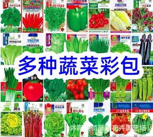 蔬菜种子组合彩包种籽四季种植室内阳台盆栽室外田园多种蔬菜种籽-阿里巴巴