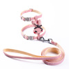 Cross -border adjustable pet cat gradient color traction rope set Small dog dog rope dog work