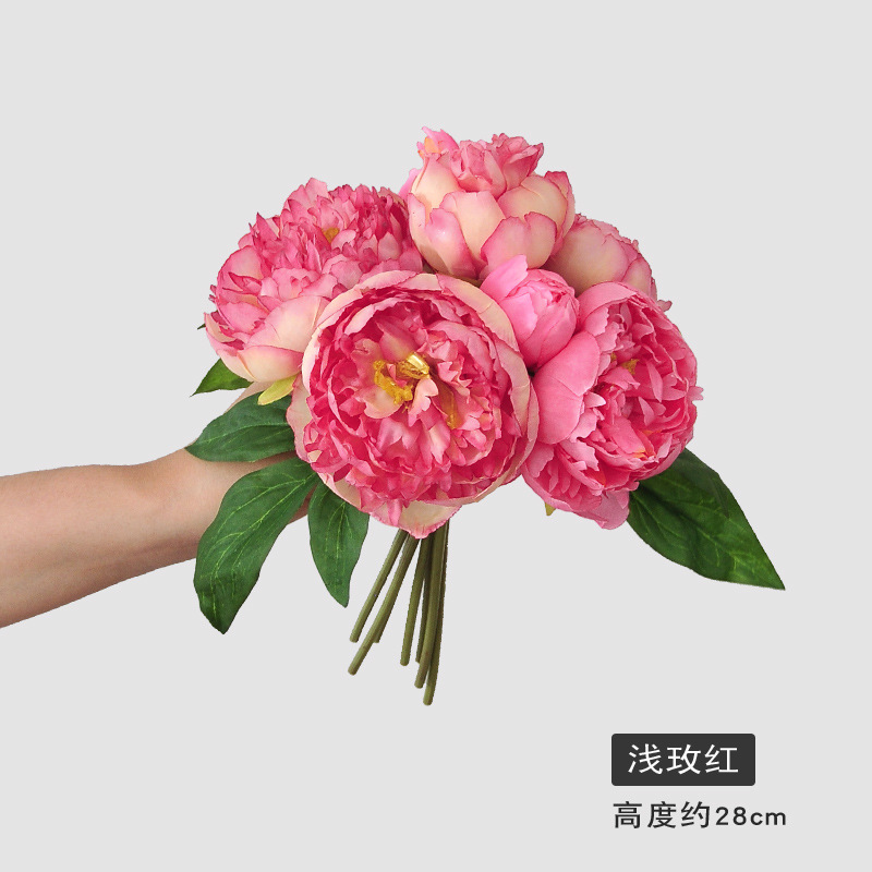 라이트 로즈 레드