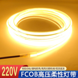 220V��FCOB����240�� 10���ּ􎧱��z��ճ����ů�t�G�{ ���S ��