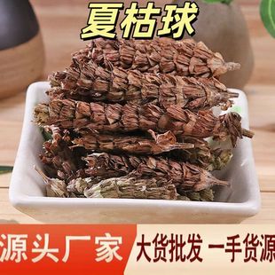 �Ŀ����Ŀݲ���ș�����l�׻��ݰ��?�ݲ�����ݱ�