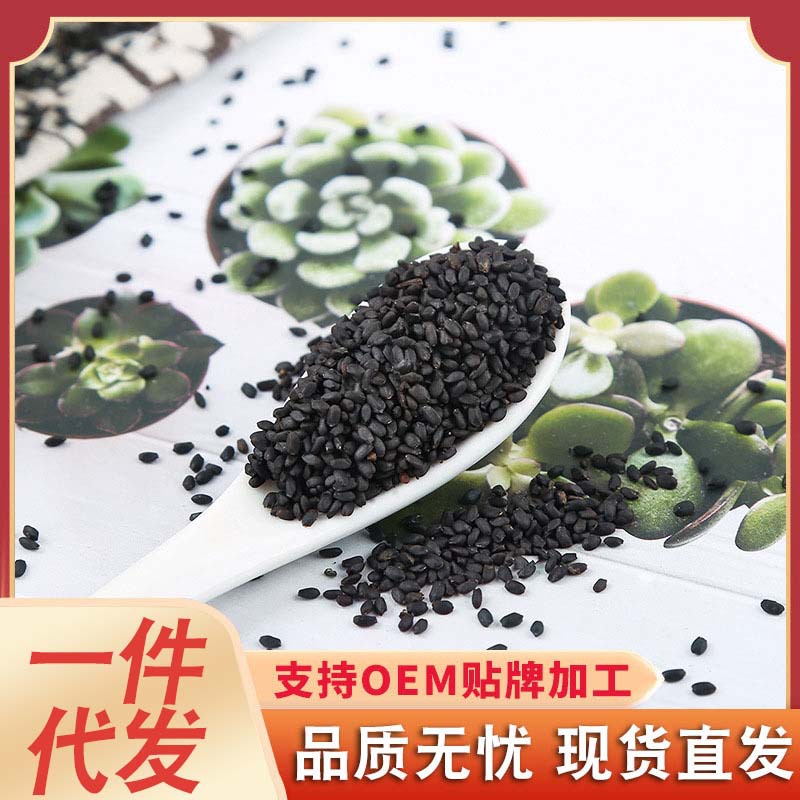 批发兰香籽花果茶大货兰香子散装包邮珍珠果子罗勒籽明列子水果茶