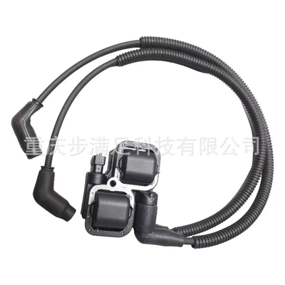 Alovlanma bobini (Babinalar) 2876049 Ignition Coil