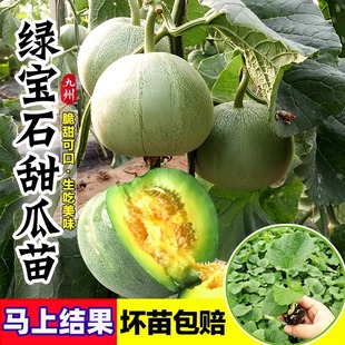 �G��ʯ�������N����ϷN�����������������ȫ�ϱ����N�߲���