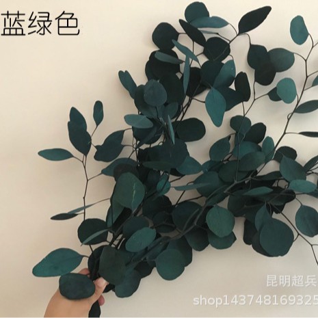 青緑色100グラム1束