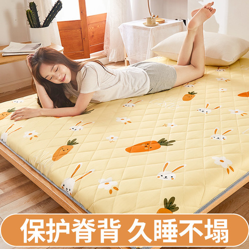 家用加厚床垫地铺软垫租房专用睡垫榻榻米褥子宿舍垫子夏季艳阳天