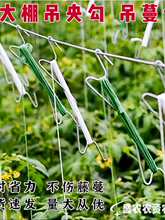 ������S�ϵ������t������������\���������h�S���}Ů�������h