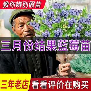 ����{ݮ�������Ե��Թ������{ݮ�ϱ����Nֲ�̨ͥԺ�Nֲ����Y��